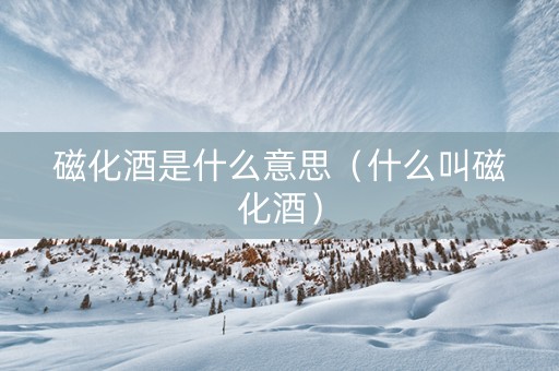 磁化酒是什么意思（什么叫磁化酒）