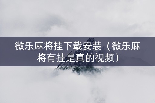 微乐麻将挂下载安装（微乐麻将有挂是真的视频）