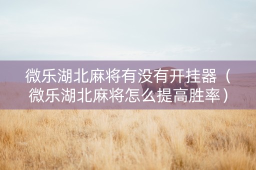 微乐湖北麻将有没有开挂器（微乐湖北麻将怎么提高胜率）