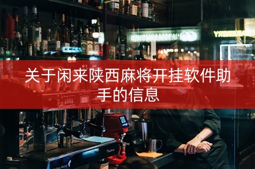 关于闲来陕西麻将开挂软件助手的信息