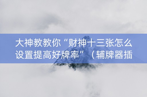 大神教教你“财神十三张怎么设置提高好牌率”（辅牌器插件购买)