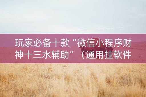 玩家必备十款“微信小程序财神十三水辅助”（通用挂软件多少钱)