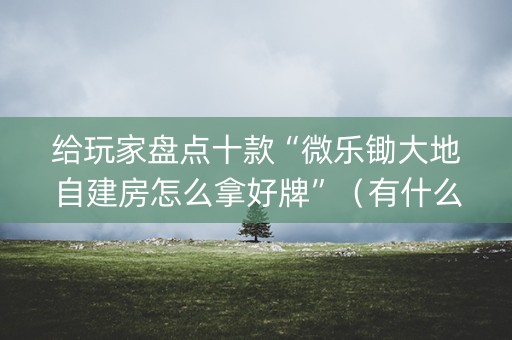 给玩家盘点十款“微乐锄大地自建房怎么拿好牌”（有什么诀窍)