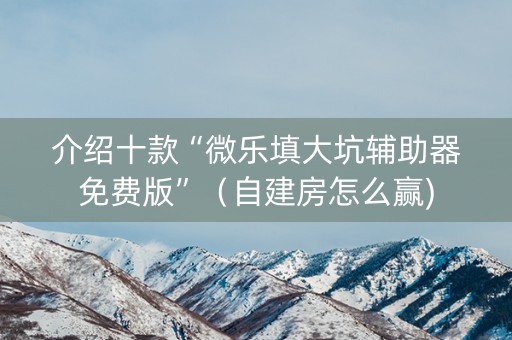 介绍十款“微乐填大坑辅助器免费版”（自建房怎么赢)