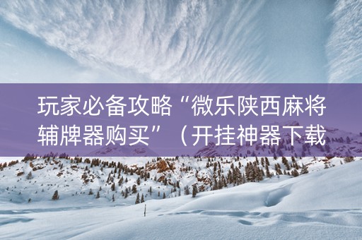 玩家必备攻略“微乐陕西麻将辅牌器购买”（开挂神器下载)