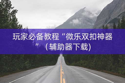 玩家必备教程“微乐双扣神器”（辅助器下载)