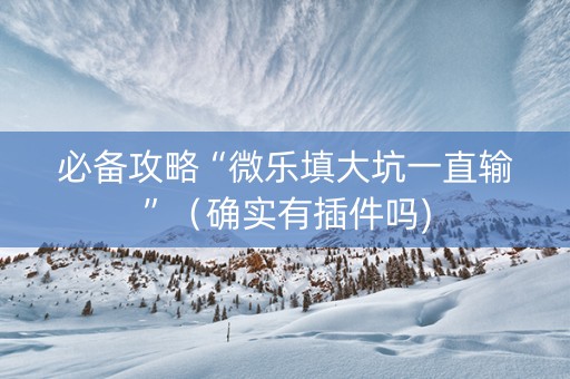 必备攻略“微乐填大坑一直输”（确实有插件吗)