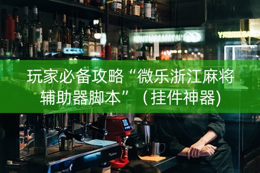 玩家必备攻略“微乐浙江麻将辅助器脚本”（挂件神器)