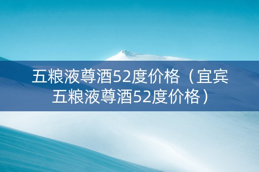 五粮液尊酒52度价格（宜宾五粮液尊酒52度价格）
