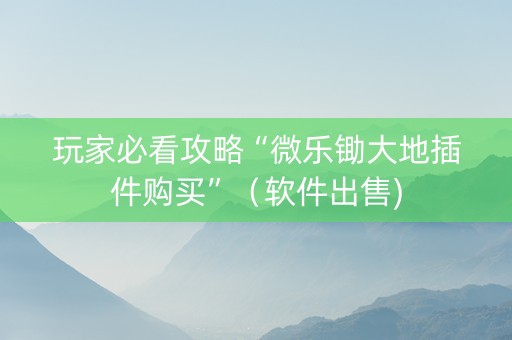 玩家必看攻略“微乐锄大地插件购买”（软件出售)