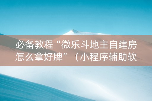 必备教程“微乐斗地主自建房怎么拿好牌”（小程序辅助软件)