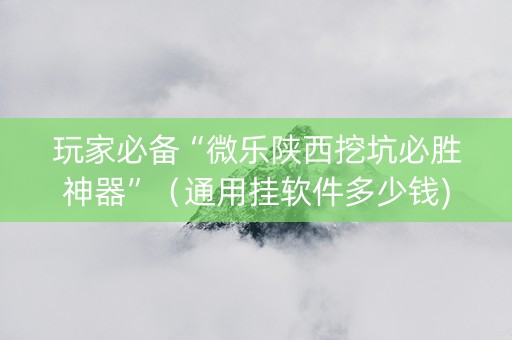 玩家必备“微乐陕西挖坑必胜神器”（通用挂软件多少钱)