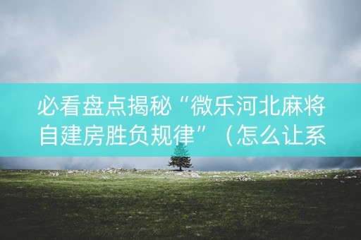 必看盘点揭秘“微乐河北麻将自建房胜负规律”（怎么让系统给你发好牌)
