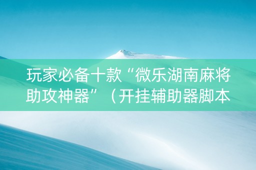 玩家必备十款“微乐湖南麻将助攻神器”（开挂辅助器脚本)