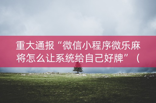 重大通报“微信小程序微乐麻将怎么让系统给自己好牌”（软挂神器)