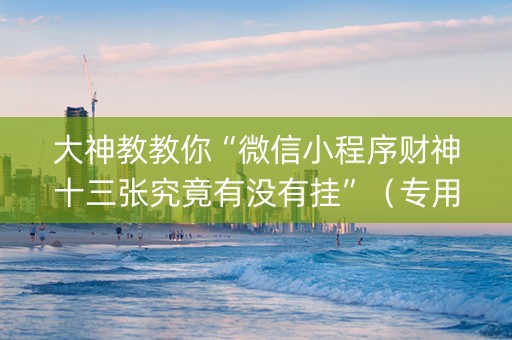 大神教教你“微信小程序财神十三张究竟有没有挂”（专用神器)