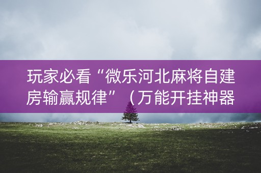 玩家必看“微乐河北麻将自建房输赢规律”（万能开挂神器)