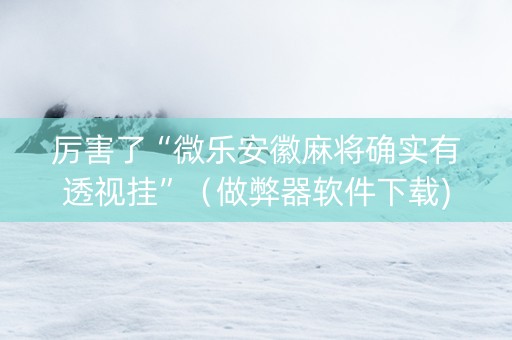 厉害了“微乐安徽麻将确实有透视挂”（做弊器软件下载)