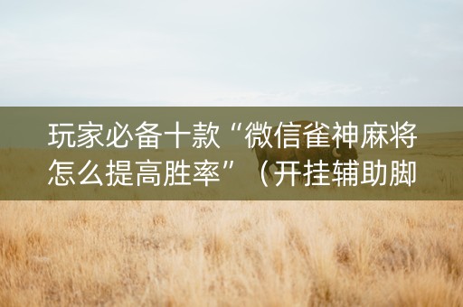 玩家必备十款“微信雀神麻将怎么提高胜率”（开挂辅助脚本)