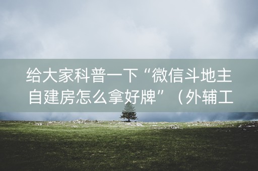 给大家科普一下“微信斗地主自建房怎么拿好牌”（外辅工具)
