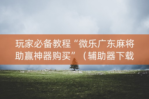 玩家必备教程“微乐广东麻将助赢神器购买”（辅助器下载)