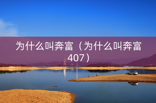 为什么叫奔富（为什么叫奔富407）