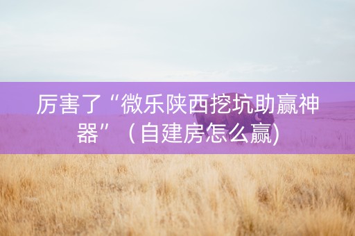 厉害了“微乐陕西挖坑助赢神器”（自建房怎么赢)