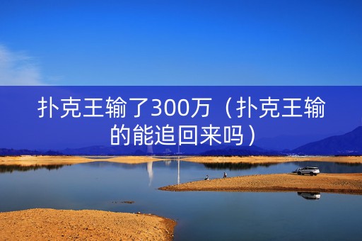 扑克王输了300万（扑克王输的能追回来吗）