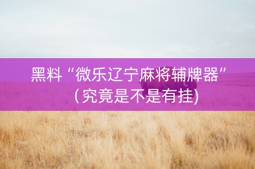 黑料“微乐辽宁麻将辅牌器”（究竟是不是有挂)