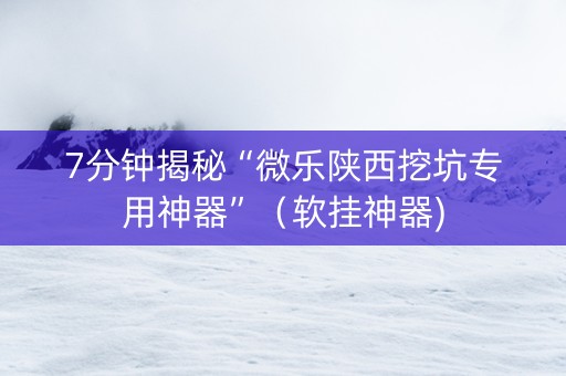7分钟揭秘“微乐陕西挖坑专用神器”（软挂神器)