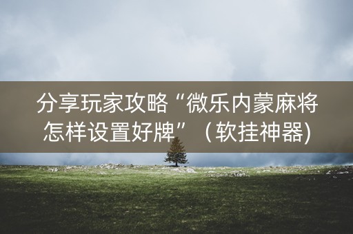 分享玩家攻略“微乐内蒙麻将怎样设置好牌”（软挂神器)