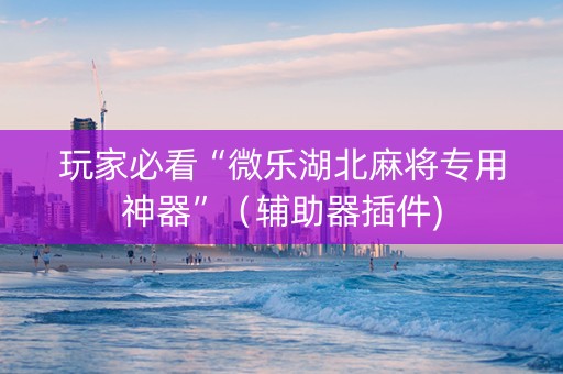 玩家必看“微乐湖北麻将专用神器”（辅助器插件)