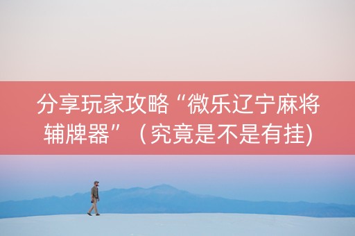 分享玩家攻略“微乐辽宁麻将辅牌器”（究竟是不是有挂)