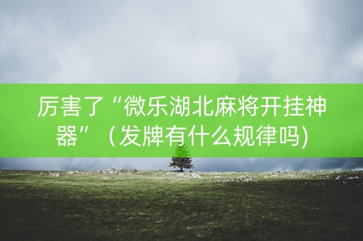 厉害了“微乐湖北麻将开挂神器”（发牌有什么规律吗)