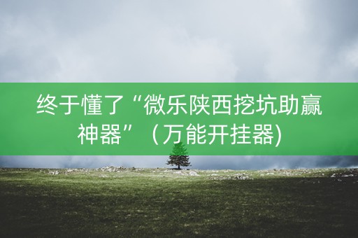 终于懂了“微乐陕西挖坑助赢神器”（万能开挂器)