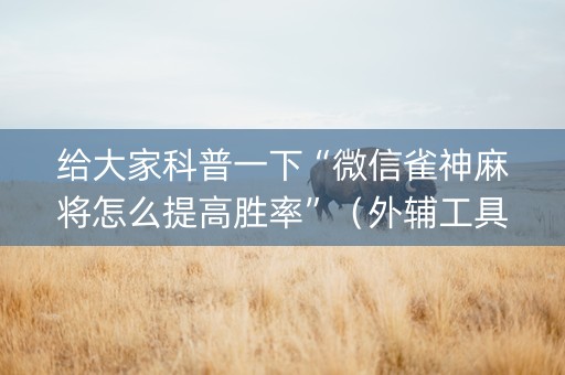 给大家科普一下“微信雀神麻将怎么提高胜率”（外辅工具)