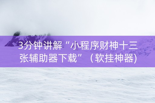 3分钟讲解“小程序财神十三张辅助器下载”（软挂神器)