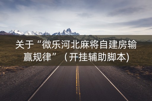关于“微乐河北麻将自建房输赢规律”（开挂辅助脚本)
