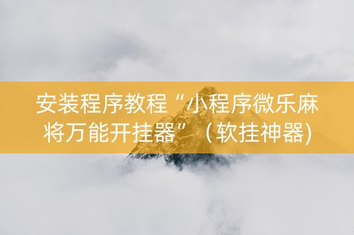 安装程序教程“小程序微乐麻将万能开挂器”（软挂神器)