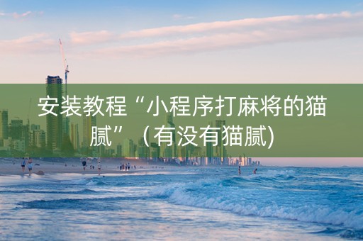 安装教程“小程序打麻将的猫腻”（有没有猫腻)