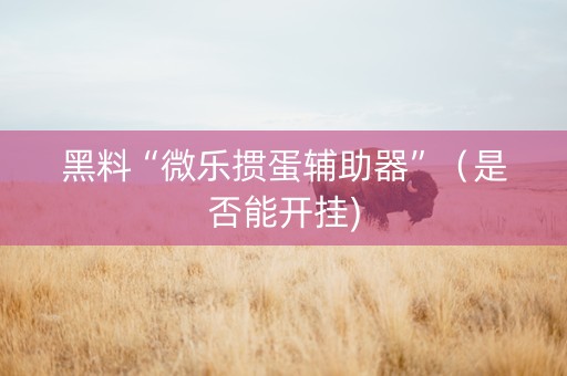 黑料“微乐掼蛋辅助器”（是否能开挂)