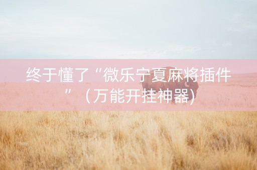 终于懂了“微乐宁夏麻将插件”（万能开挂神器)