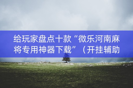 给玩家盘点十款“微乐河南麻将专用神器下载”（开挂辅助插件)