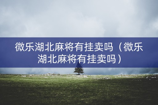 微乐湖北麻将有挂卖吗（微乐湖北麻将有挂卖吗）