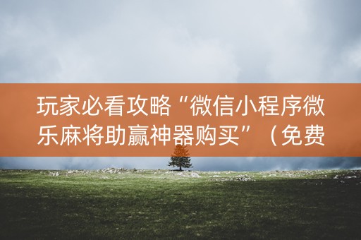 玩家必看攻略“微信小程序微乐麻将助赢神器购买”（免费辅助)