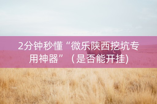 2分钟秒懂“微乐陕西挖坑专用神器”（是否能开挂)