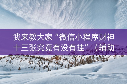 我来教大家“微信小程序财神十三张究竟有没有挂”（辅助器下载)