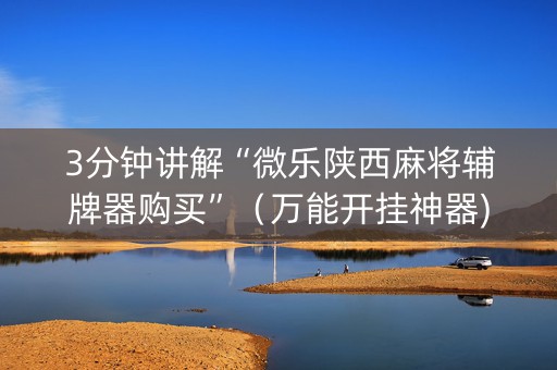 3分钟讲解“微乐陕西麻将辅牌器购买”（万能开挂神器)