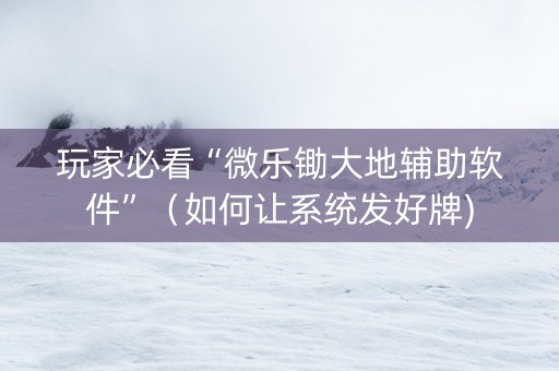 玩家必看“微乐锄大地辅助软件”（如何让系统发好牌)