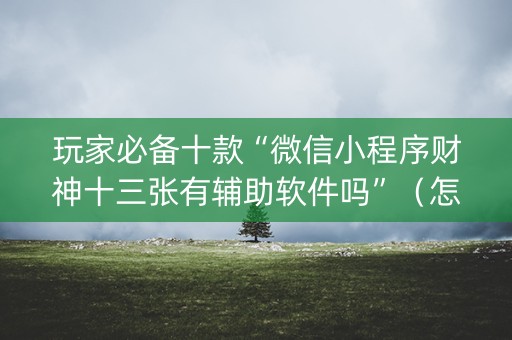 玩家必备十款“微信小程序财神十三张有辅助软件吗”（怎么能得到好牌)